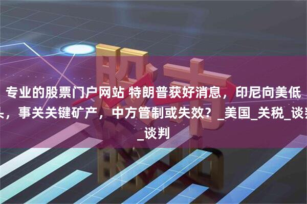 专业的股票门户网站 特朗普获好消息，印尼向美低头，事关关键矿产，中方管制或失效？_美国_关税_谈判