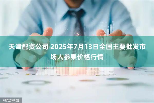 天津配资公司 2025年7月13日全国主要批发市场人参果价格行情